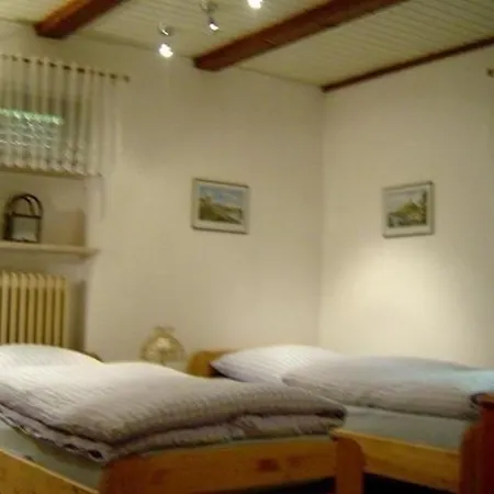Appartement Grosszuegige Fuer 5 Personen Mit Ueberdachter Terrasse Und Wundervollem Garten Mit Koi-teich In Waldnaehe