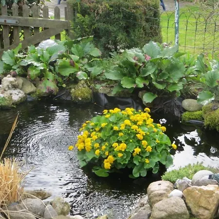 Grosszuegige Fuer 5 Personen Mit Ueberdachter Terrasse Und Wundervollem Garten Mit Koi-teich In Waldnaehe Appartement