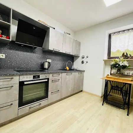 Appartement Grosszuegige Fuer 5 Personen Mit Ueberdachter Terrasse Und Wundervollem Garten Mit Koi-teich In Waldnaehe Marktredwitz
