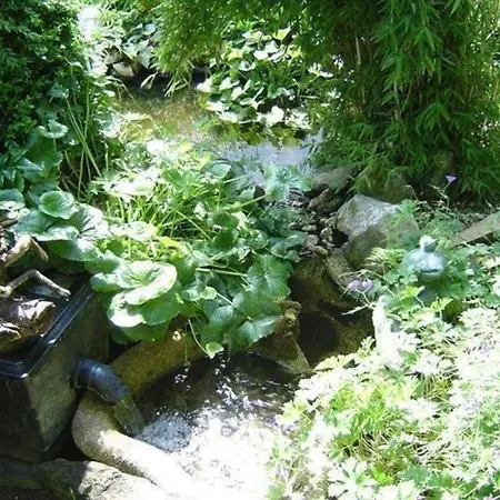 Appartement Grosszuegige Fuer 5 Personen Mit Ueberdachter Terrasse Und Wundervollem Garten Mit Koi-teich In Waldnaehe Marktredwitz
