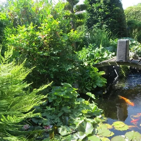 Apartman Grosszuegige Fuer 5 Personen Mit Ueberdachter Terrasse Und Wundervollem Garten Mit Koi-teich In Waldnaehe