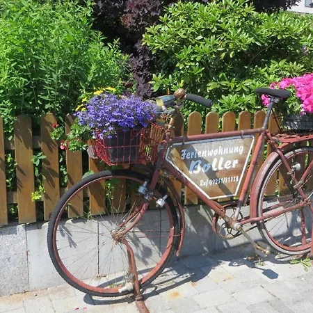 Apartman Grosszuegige Fuer 5 Personen Mit Ueberdachter Terrasse Und Wundervollem Garten Mit Koi-teich In Waldnaehe Marktredwitz