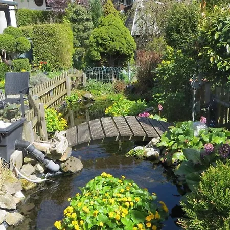 Grosszuegige Fuer 5 Personen Mit Ueberdachter Terrasse Und Wundervollem Garten Mit Koi-teich In Waldnaehe * Marktredwitz